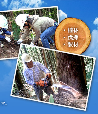 植林・伐採・製材