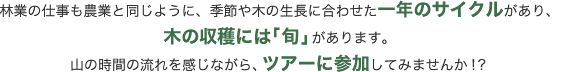 林業の仕事も農業と同じように、季節や木の生長に合わせた一年のサイクルがあり、木の収穫には「旬」があります。山の時間の流れを感じながら、ツアーに参加してみませんか！？