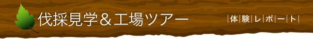 伐採見学＆工場ツアー　体験レポート