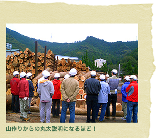 山作りからの丸太説明になるほど！